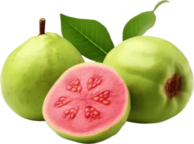 Guava Fruit Powder in official Synadentix formula
